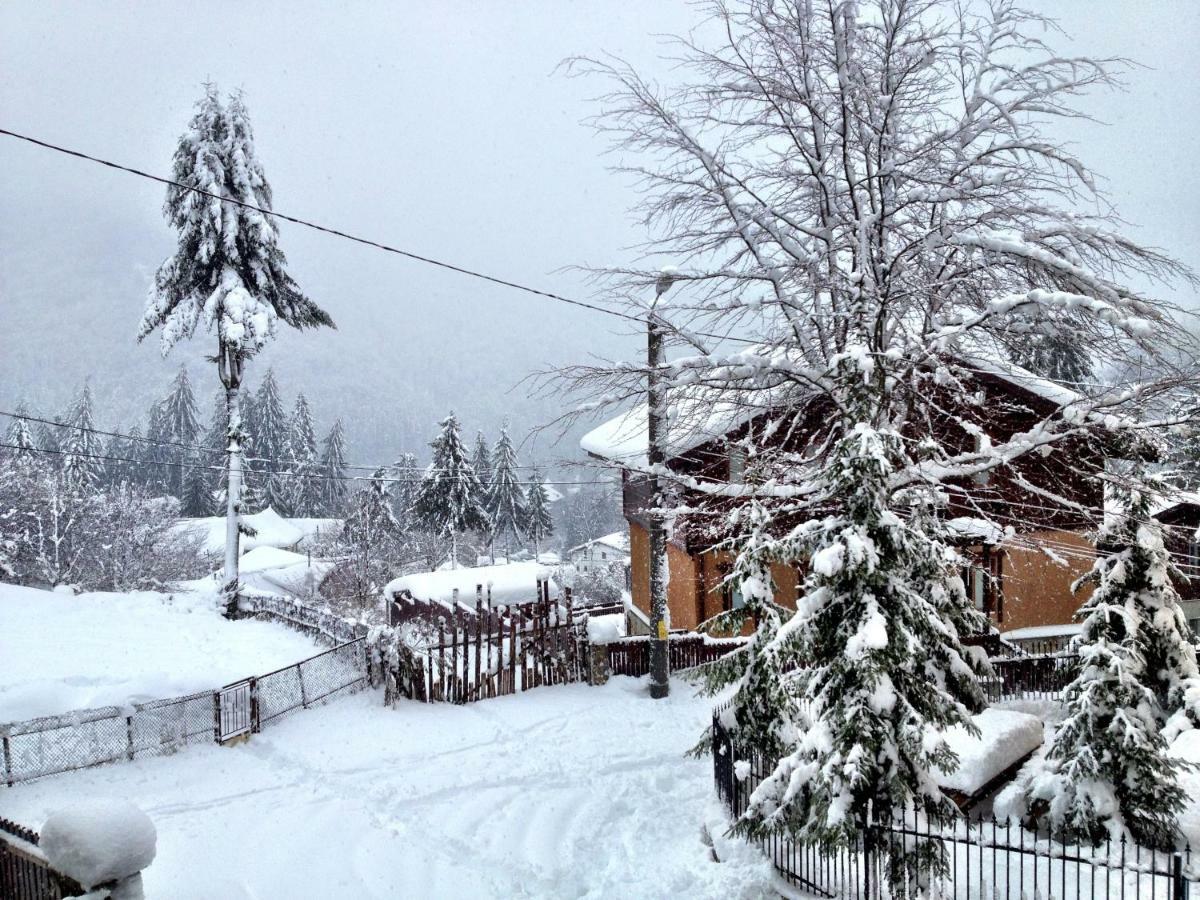 Vila Casa Miu Sinaia Exteriér fotografie