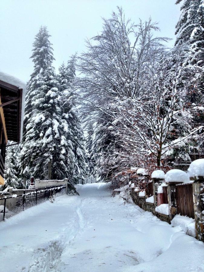 Vila Casa Miu Sinaia Exteriér fotografie